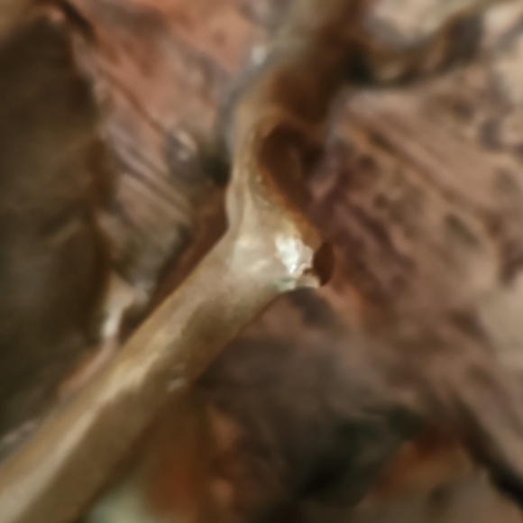 Amphora Porcelain Vase with Raised Grapes and Leaves Art Nouveau Turn of Century - Picture 7 of 16